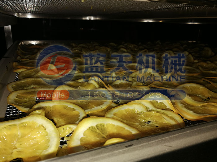广西水果烘干机