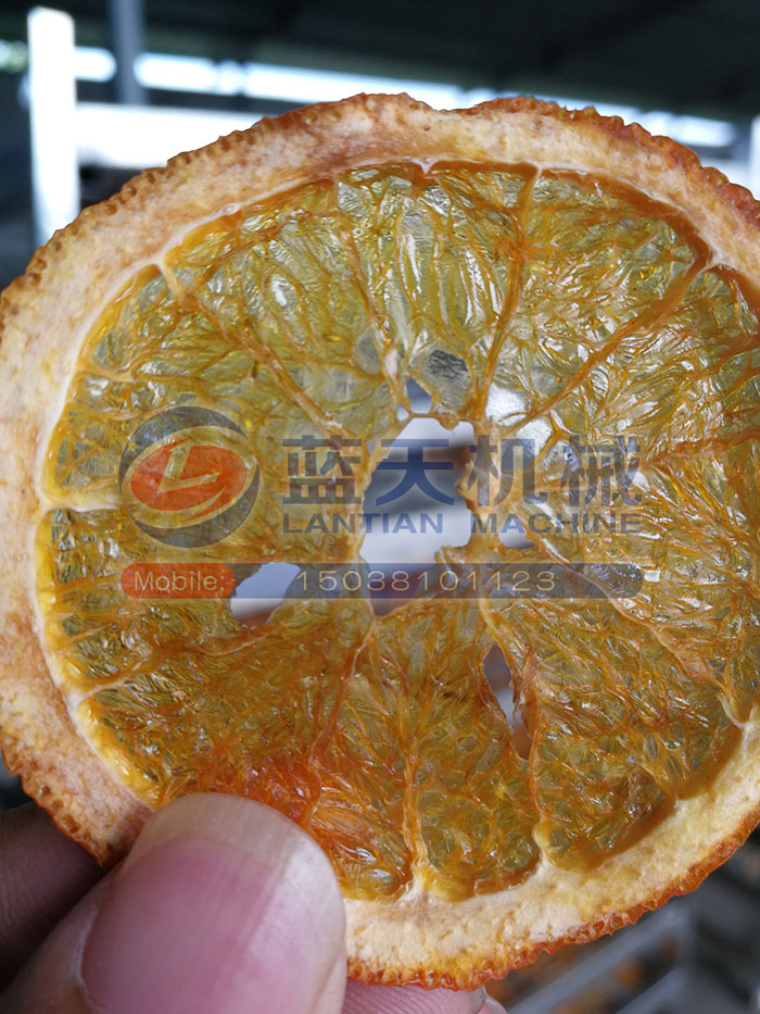 广西水果烘干机